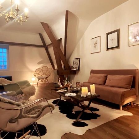 Grand Appartement Place Saint-Pierre, Proche Chateau De Saumur Et Bord De Loire" Екстериор снимка