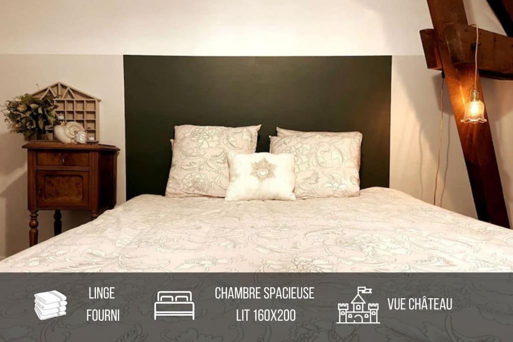 Grand Appartement Place Saint-Pierre, Proche Chateau De Saumur Et Bord De Loire" Екстериор снимка